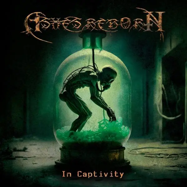 Ashes Reborn - In Captivity (2024, WEB) FLAC скачать торрент Ashes Reborn - In Captivity (2024, WEB) FLAC скачать торрент