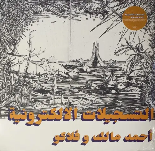 Ahmed Malek & Flako - The Electronic Tapes 2017