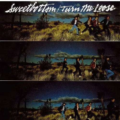 Sweetbottom - Turn Me Loose - 1979